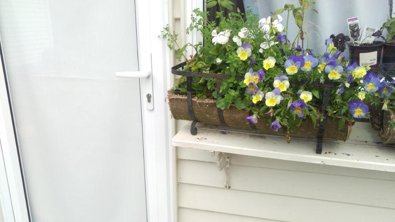 Geranium Cottage-Mt Taranaki Stratford Exterior photo